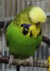 IMG_0267.JPG