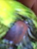 330AF73F-AF28-4726-A169-792ECA39118C.jpeg