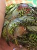 0655E901-E307-4BD5-A734-2B731EA6E160.jpeg