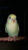 20180720_230336.jpg