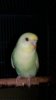 20180720_230256.jpg