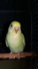 20180720_230421.jpg