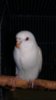 20180720_230410.jpg