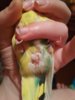 IMG_20180720_230537.jpg