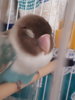 20180721_070632.jpg