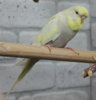 IMG_0281.JPG