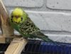 IMG_0374.JPG