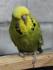 IMG_0496.JPG