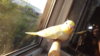 DSCF0606.JPG