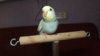 DSCF0646.JPG