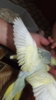 DSCF0662.JPG