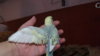 DSCF0643.JPG