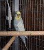 DSC_6554.JPG