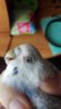 IMG_20180801_152606.jpg