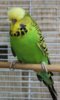 IMG_0655.JPG