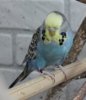 IMG_0617.JPG