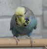 IMG_0525.JPG