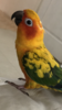D0820788-37DD-4DE4-97F0-E33EDCB83A01.png