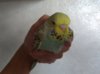 P_20180806_150343_vHDR_Auto.jpg