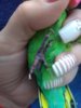 IMG_20180806_192549.jpg