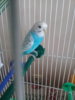 20180808_085537.jpg