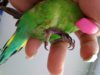 IMG_20180809_114151.jpg