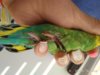 IMG_20180809_182417.jpg