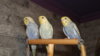 DSCF0891.JPG