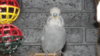 DSCF0678.JPG