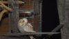 DSCF0731.JPG