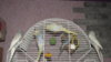 DSCF0750.JPG