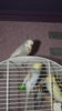 DSCF0758.JPG