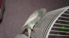DSCF0756.JPG