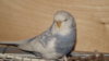 DSCF0799.JPG