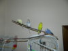 DSCN6908.JPG