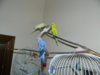 DSCN6917.JPG