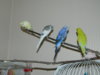 DSCN6951.JPG