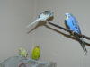 DSCN6957.JPG