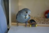 DSC09848.JPG