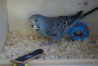 DSC09857.JPG