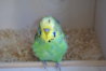 DSC09874.JPG