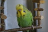 DSC09878.JPG