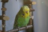 DSC09881.JPG
