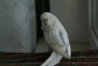 DSC09887.JPG