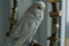 DSC09897.JPG