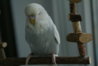 DSC09900.JPG