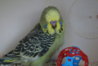 DSC09915.JPG
