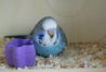 DSC09933.JPG