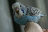 DSC09937.JPG