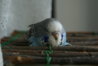 DSC09941.JPG